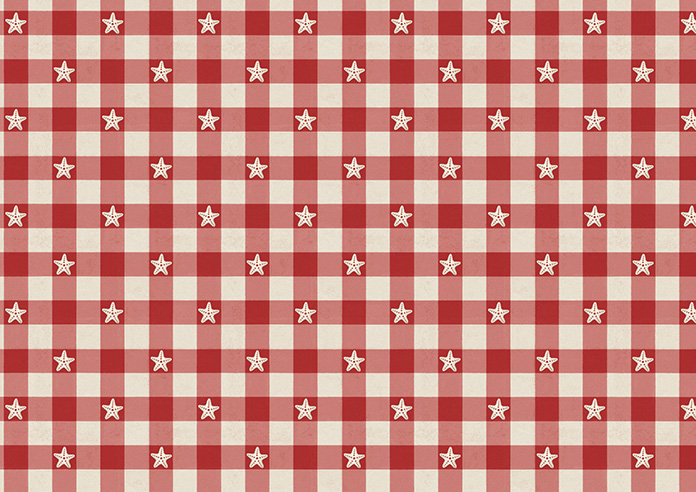 Whaley Great, Gingham Star Regatta - Made to Measure Curtains - Image 8
